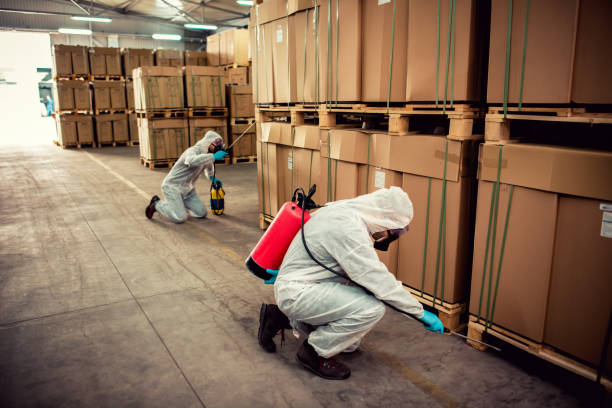 Best Pest Removal Services  in First Mesa, AZ