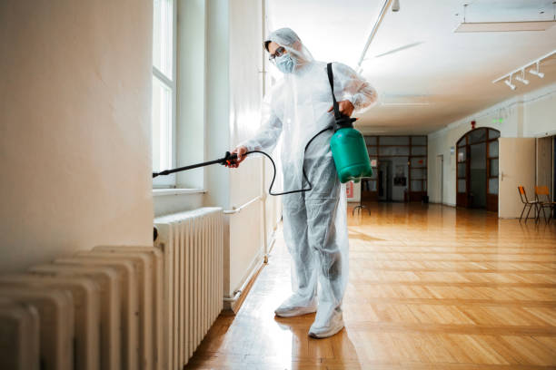 Best Local Pest Control Services  in First Mesa, AZ